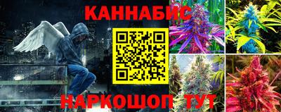 прущий лед Кингисепп