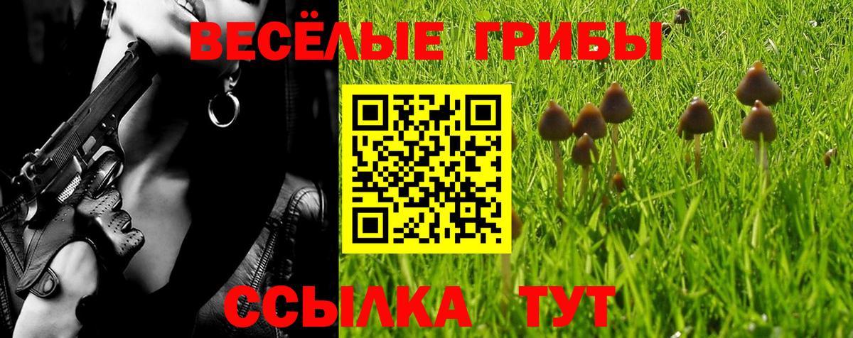 купить наркоту  Галлюциногенные грибы ЛСД  Вход с VPN  Георгиевск  Псилоцибиновые грибы GOLDEN TEACHER 